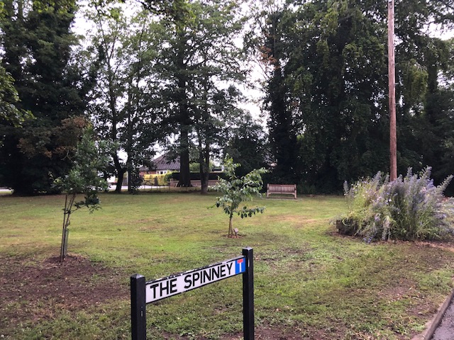 the spinney